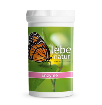 lebe natur® Enzyme 90er