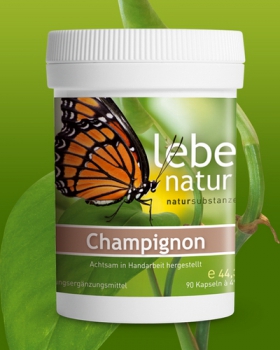 lebe natur® Vitamin D 1000 IE, aus Champignons + Vitamin K2 90er