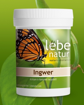 lebe natur® Ingwer 90er