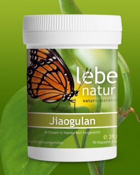 lebe natur® Jiaogulan 90er