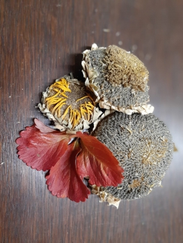 Sonnenblumenköpfe 250g