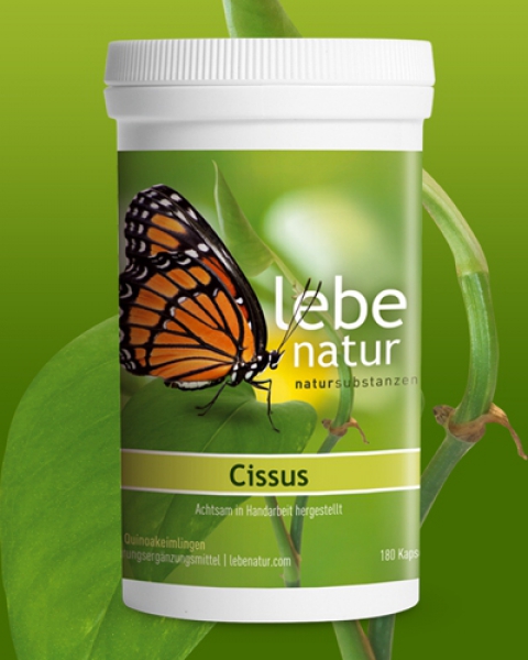 lebe natur® Cissus 180er