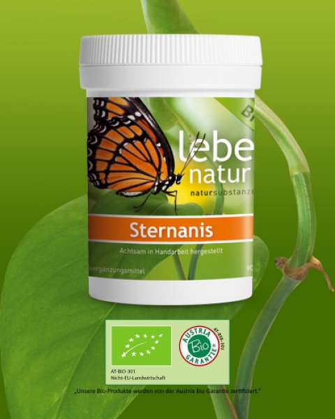 lebe natur® Sternanis BIO 90er