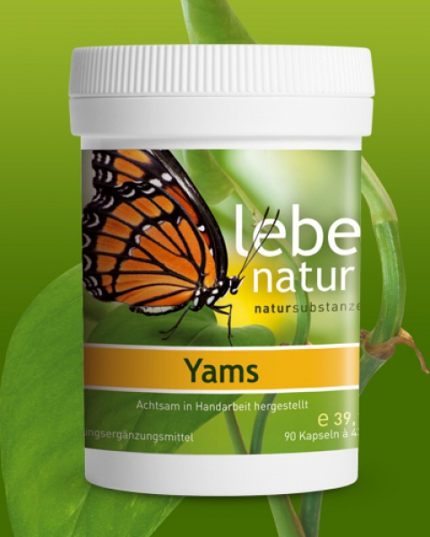 lebe natur® Yams 90er